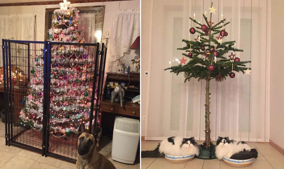 22 Fed-Up Owners Who Found Clever Ways To Pet-Proof The Christmas Tree